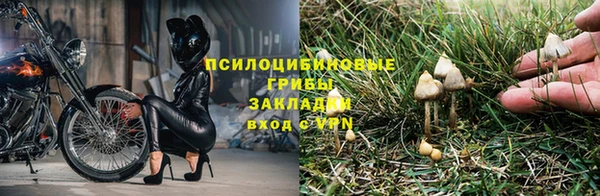 дурь Краснослободск