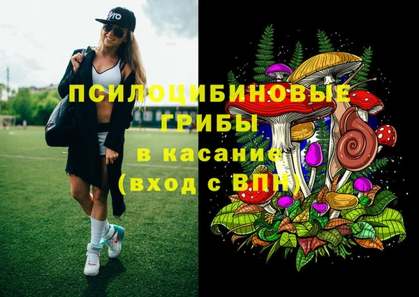 дурь Краснослободск