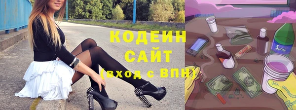 дурь Краснослободск