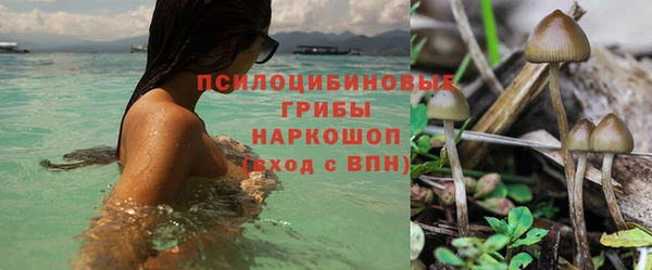 дурь Краснослободск