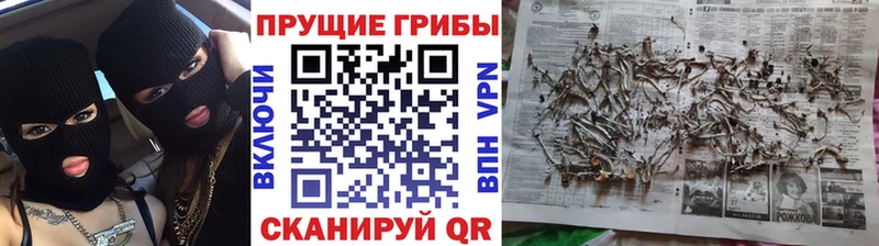 Купить закладки  Шарыпово  Галлюциногенные грибы мицелий 